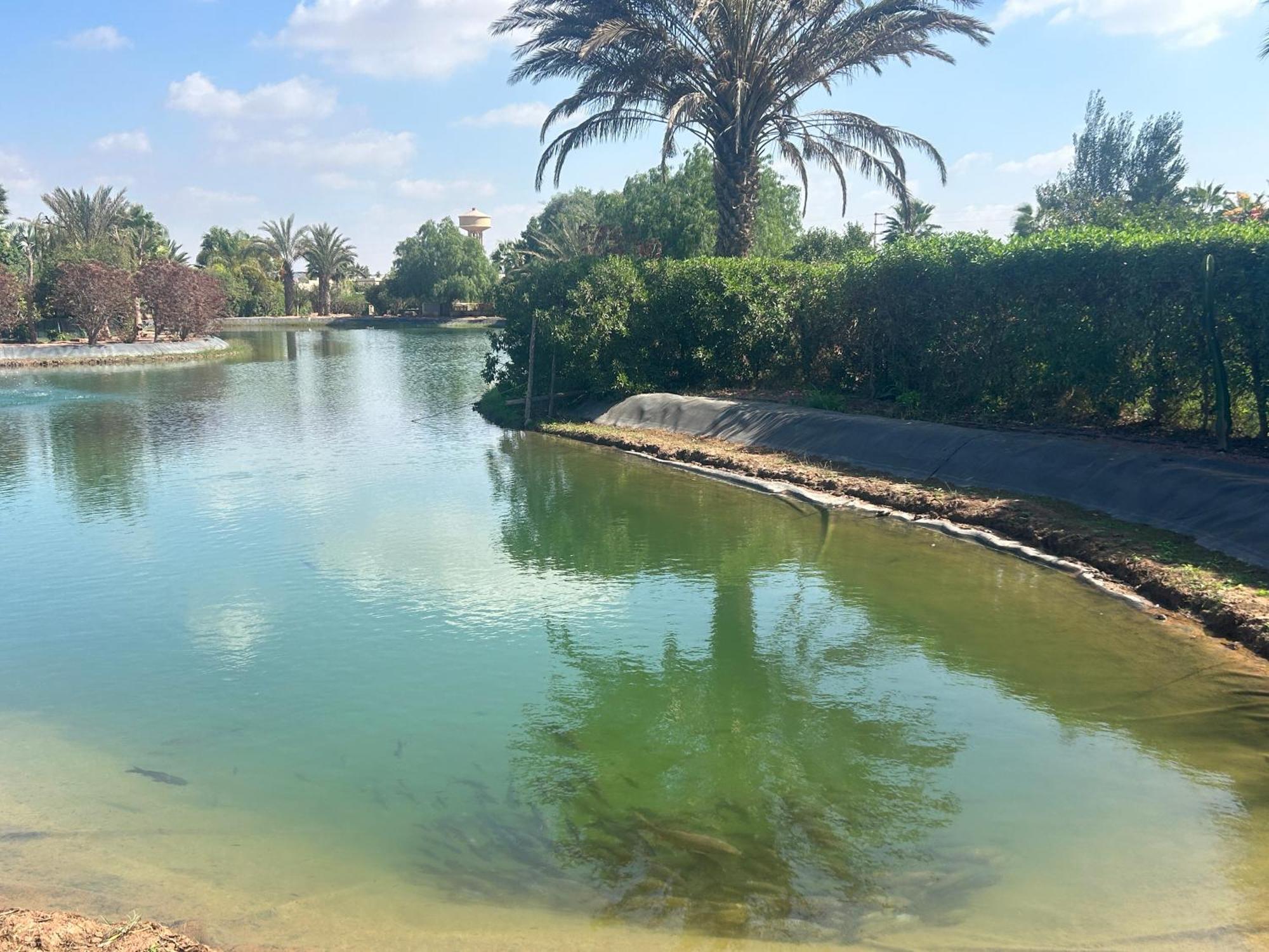 Villa Louisa Piscine Privee Sans Vis A Vis Dyar Shemsi Тарудант Экстерьер фото